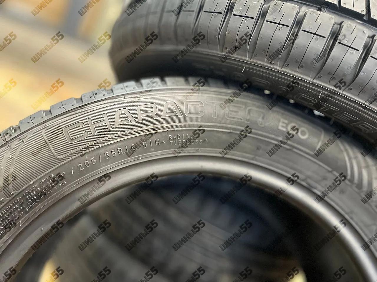 205/55R16 Ikon Character Eco (91H)