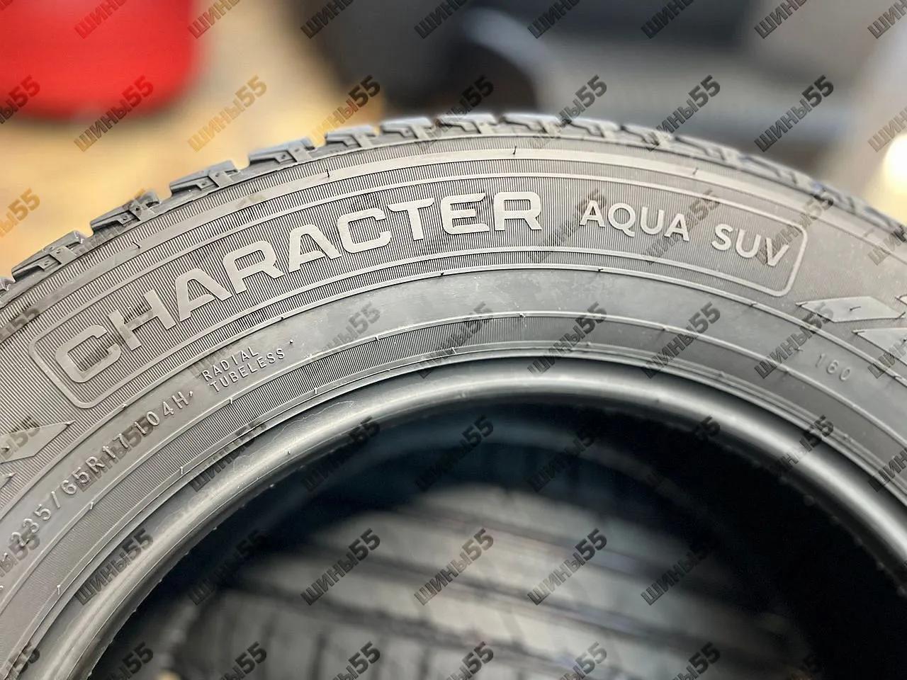 235/65R17 Ikon Character Aqua SUV (104H)