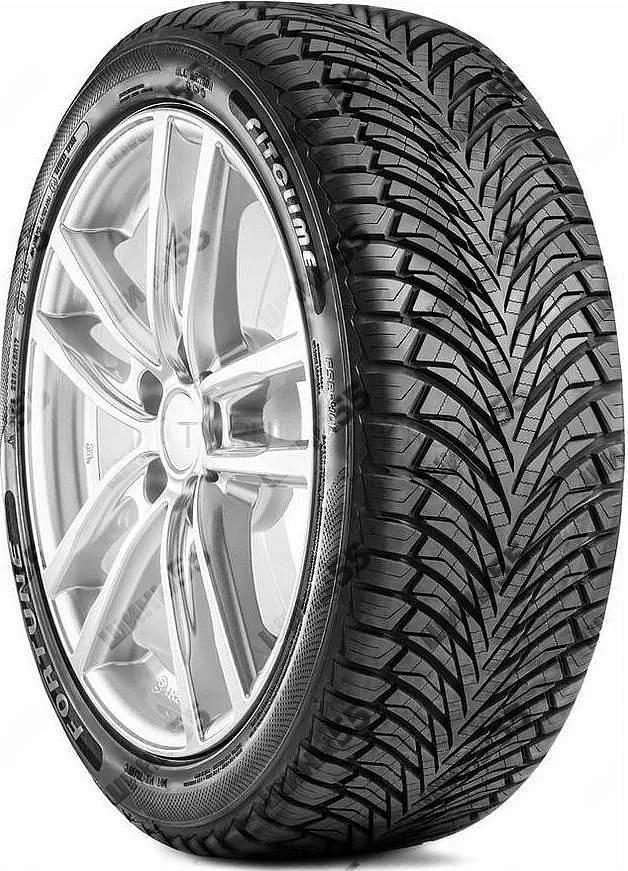 195/65R15 Fortune FSR-401 Fitclime (95V)